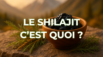Shilajit, c'est quoi ? Découvrez cette résine ancestrale de l'Himalaya