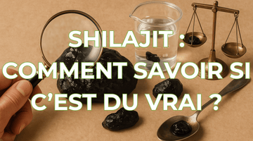 Shilajit : comment savoir si c’est du vrai ?