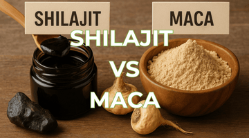 Shilajit vs Maca : énergie, libido, stress… lequel vous convient ?
