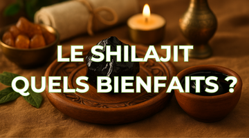À quoi sert le Shilajit ? Découvrez tous ses bienfaits pour le corps et l’esprit