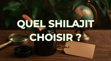 Quel Shilajit choisir ? Guide complet pour bien le sélectionner