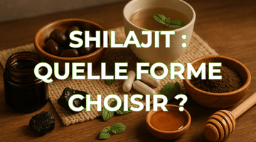Quelle forme de Shilajit choisir ? Résine, gélules ou autres ?