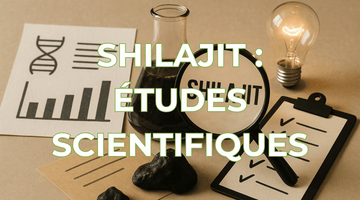 Ce que dit (vraiment) la science sur le Shilajit