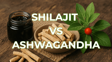 Shilajit ou Ashwagandha : quel adaptogène choisir pour énergie, stress et vitalité ?