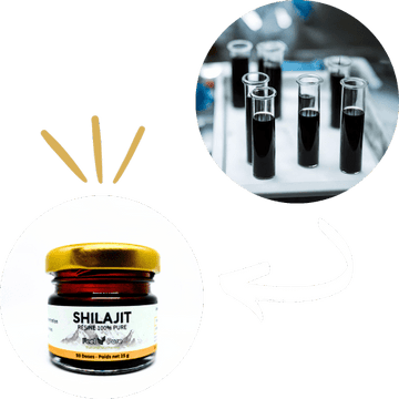 Analyses et conditionnement – Contrôles qualité en laboratoire pour garantir la pureté du Shilajit, avant son conditionnement dans des bocaux en verre écologique, assurant une conservation optimale.
