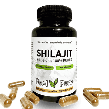 MAISON JAVER Gélules de Shilajit