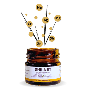 Pot de résine de Shilajit pur, secret naturel de la médecine ayurvédique pour l'énergie et le bien-être.