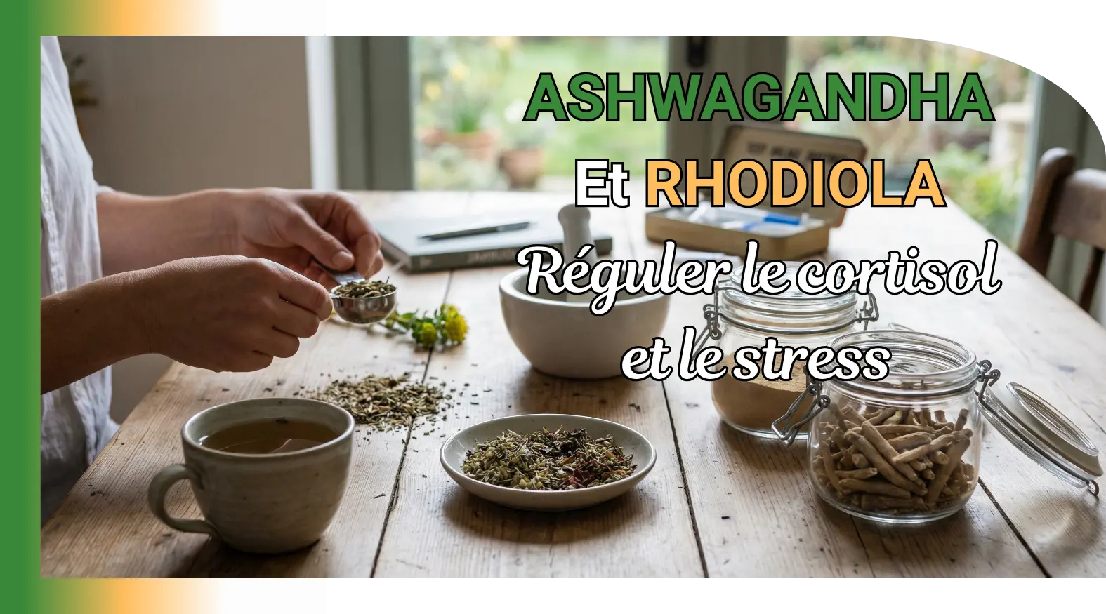 Ashwagandha et rhodiola : réguler les niveaux de cortisol et réduire le stress