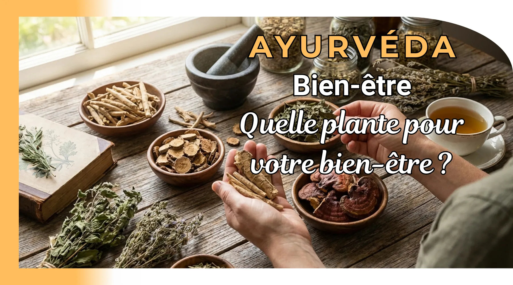 Quelle plante adaptogène choisir pour votre bien-être ?