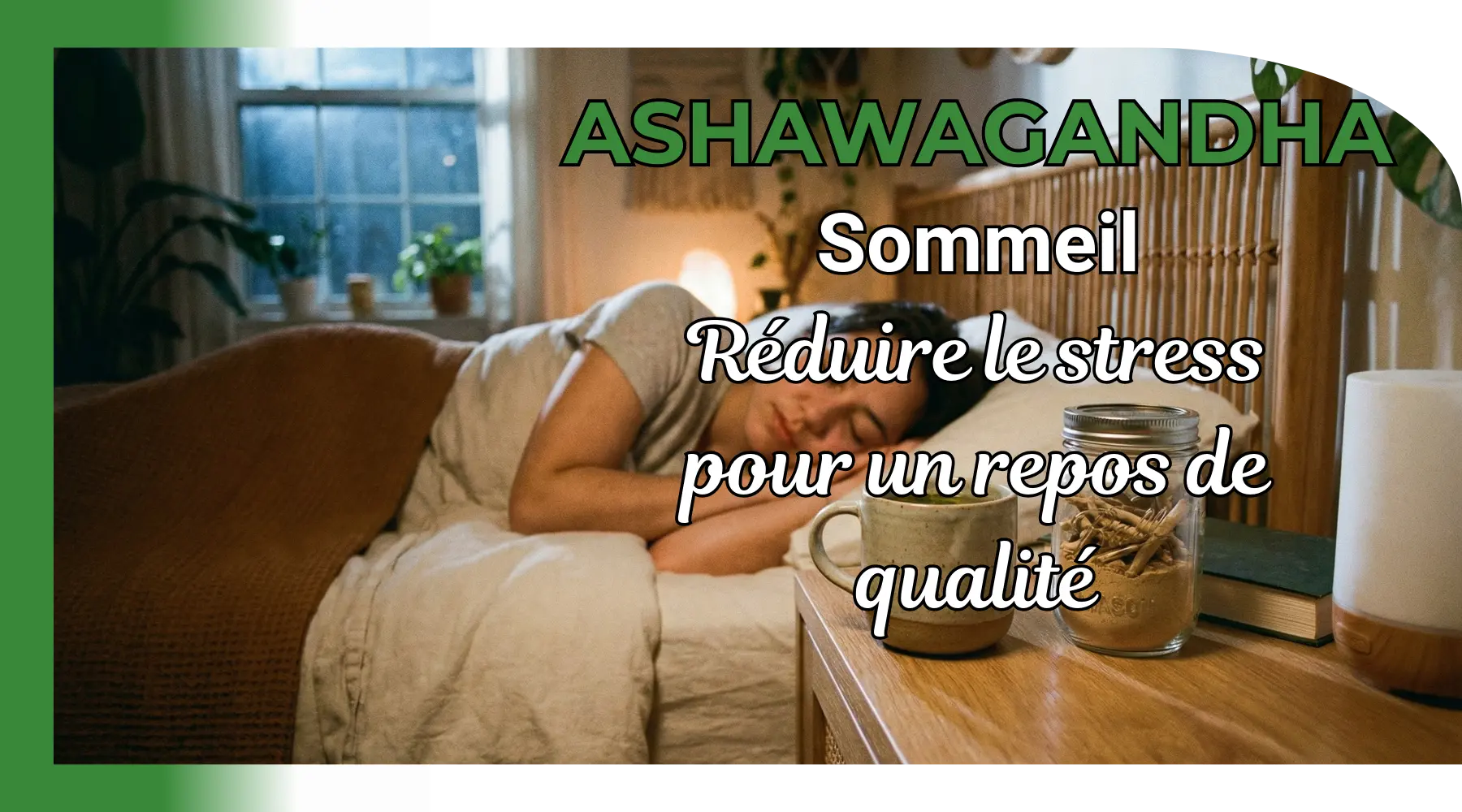 Ashwagandha et sommeil : réduire le stress pour un repos de qualité