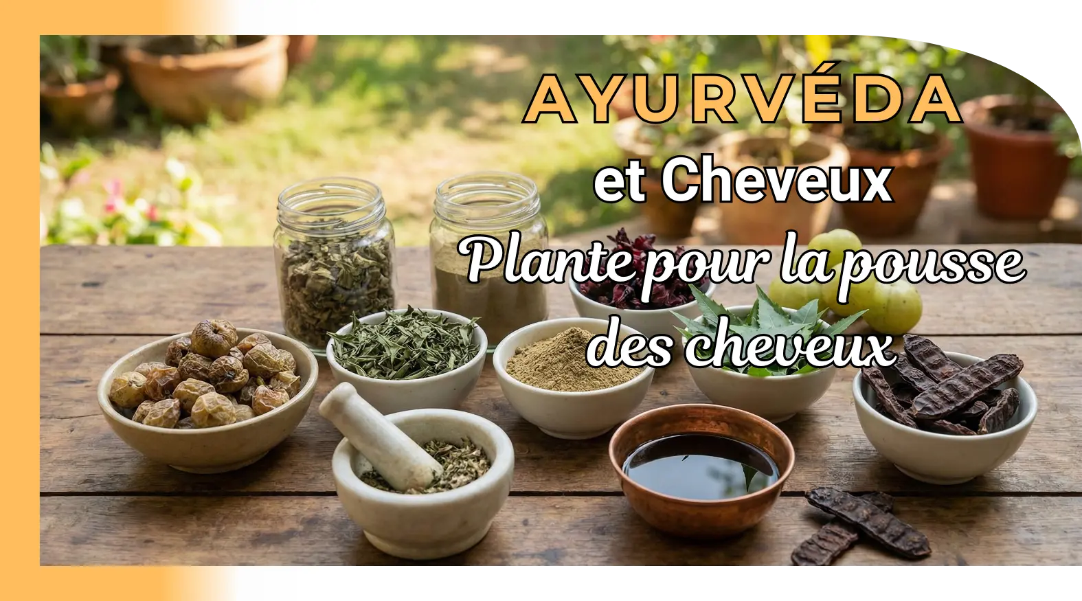 Plantes ayurvédiques pour la pousse des cheveux : guide complet