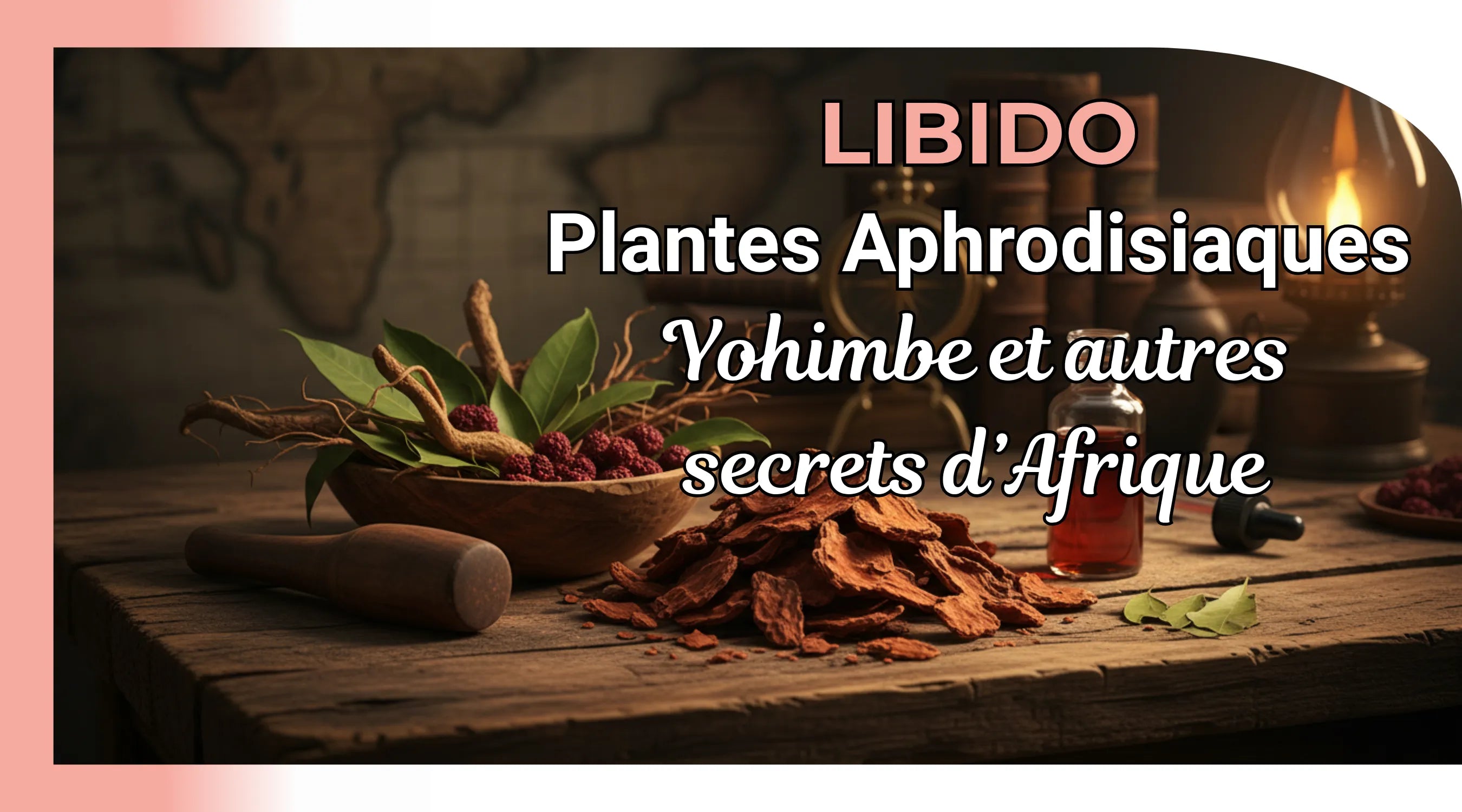 Plantes aphrodisiaques d'Afrique : yohimbe et autres secrets pour la libido