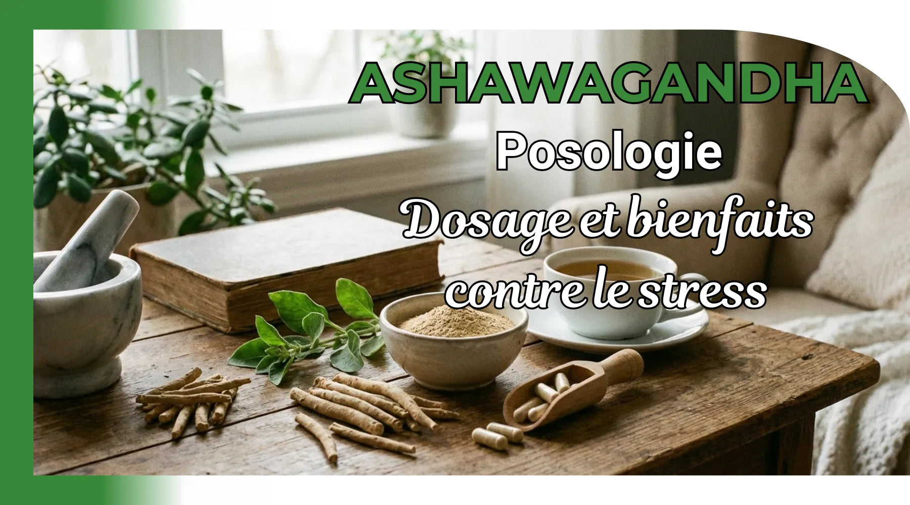 Ashwagandha gélule : posologie recommandée et dosage contre le stress