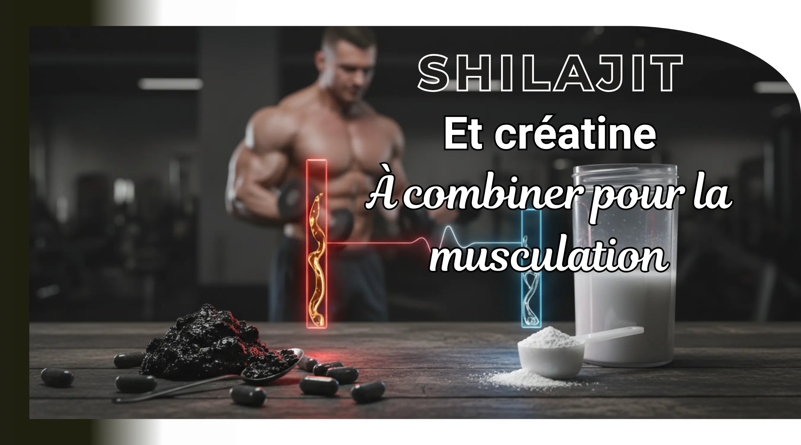 Combiner le shilajit avec la créatine en musculation