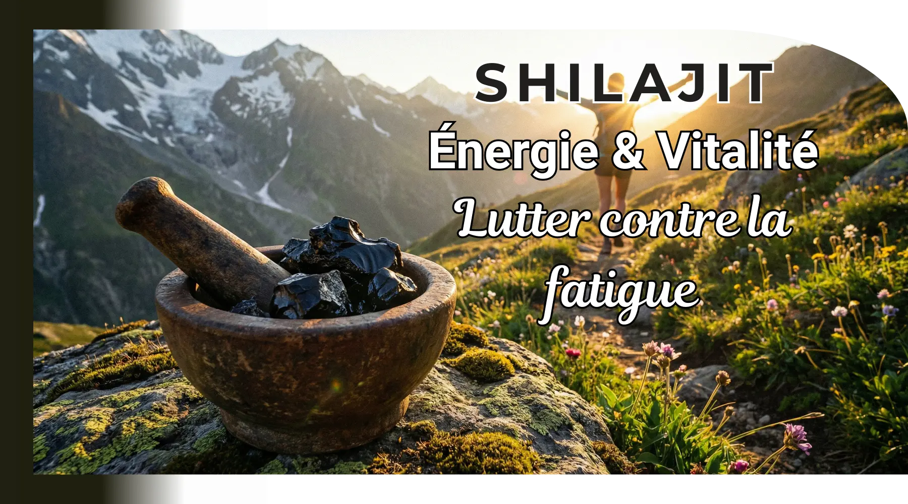 Shilajit pour énergie et vitalité contre la fatigue