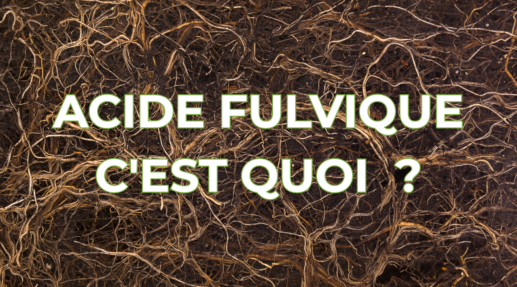 Acide fulvique : c'est quoi et quels bienfaits ? 🍃