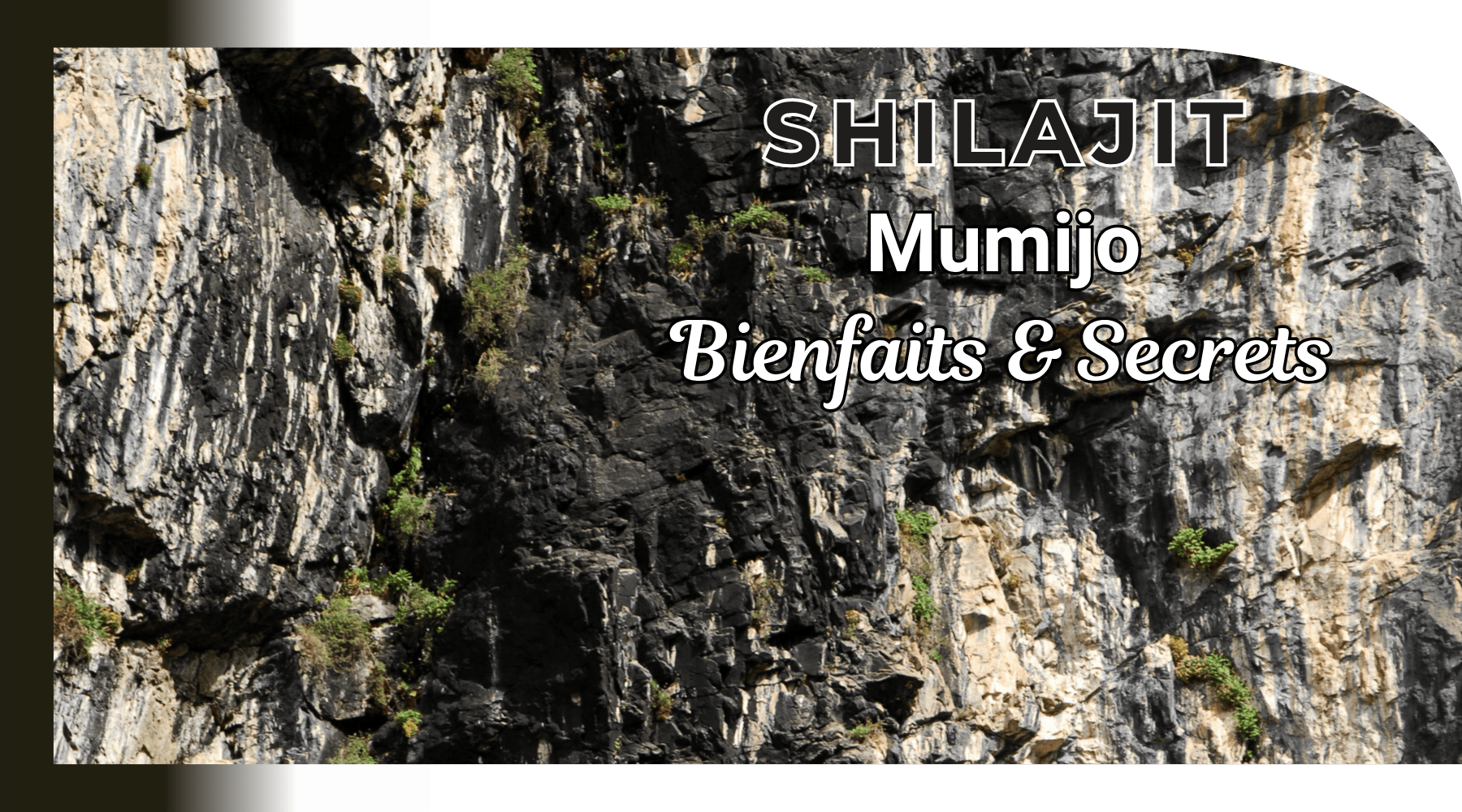 Shilajit mumijo bienfaits et secrets