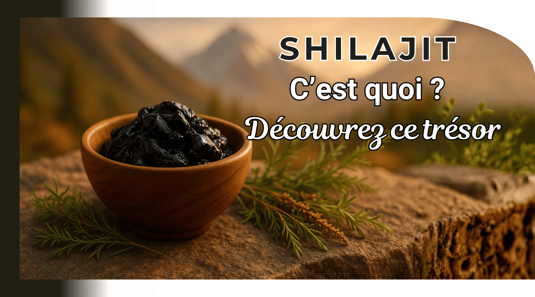 Shilajit c'est quoi