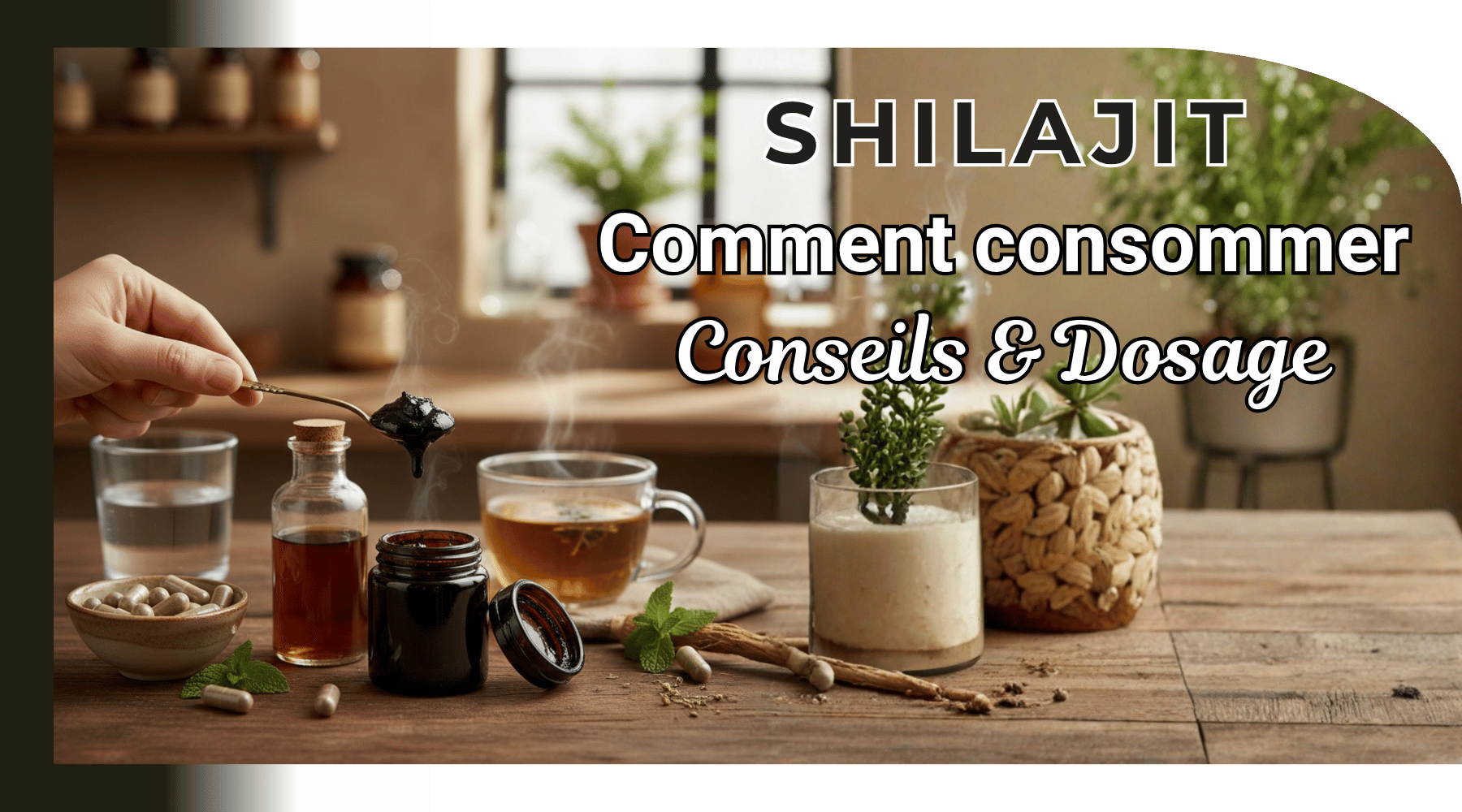 Shilajit comment consommer