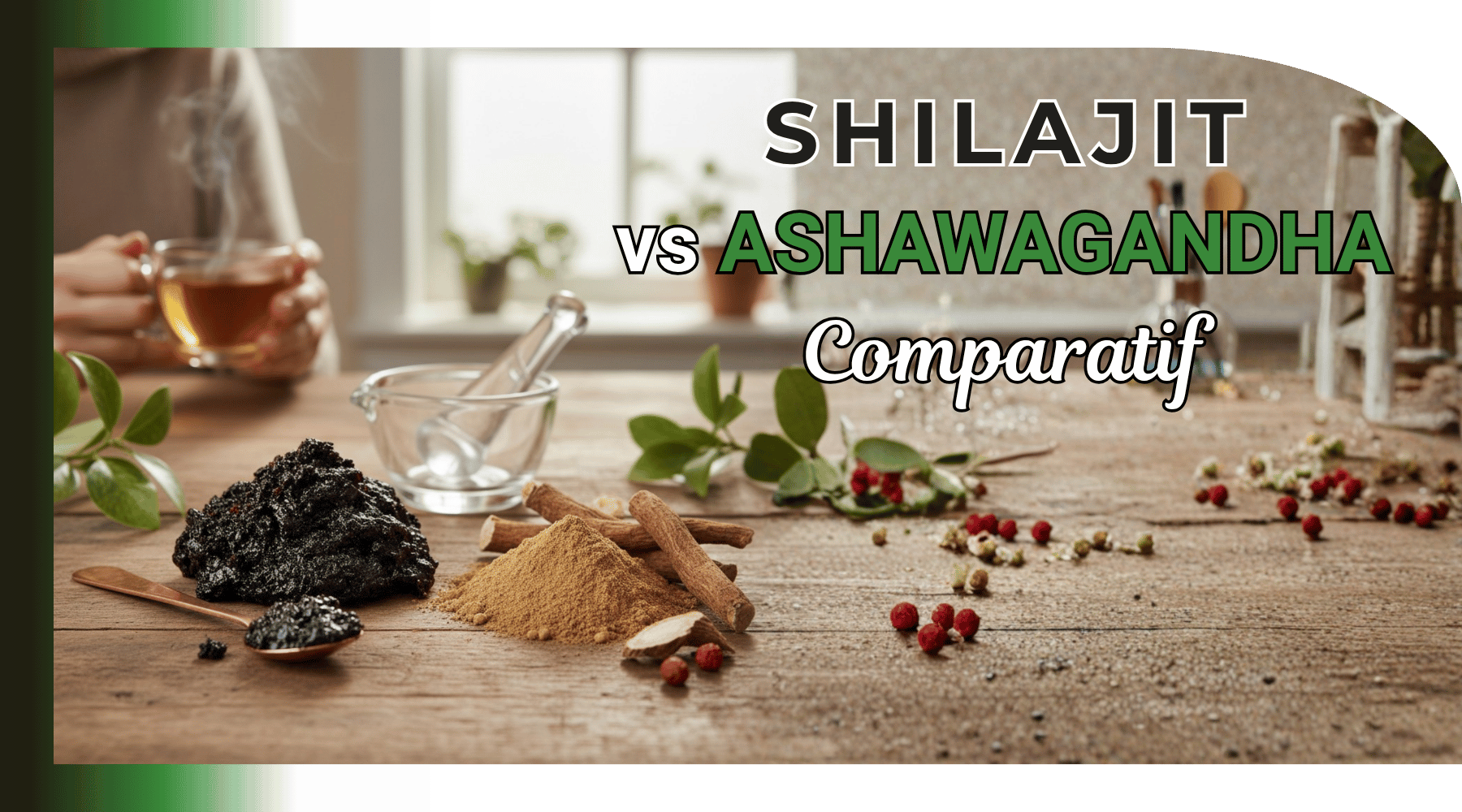 Shilajit vs Ashwagandha : quel adaptogène choisir pour énergie, stress et vitalité ?