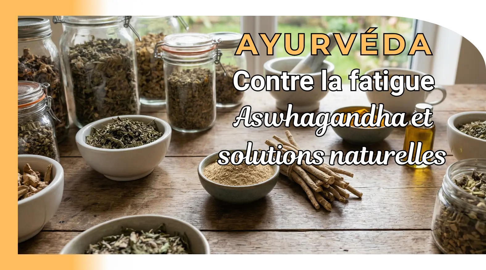 Plantes ayurvédiques contre la fatigue : ashwagandha et solutions naturelles