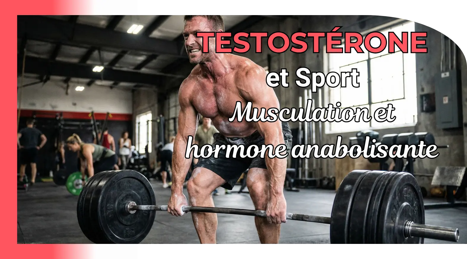 Sport et testostérone homme : musculation et hormone anabolisante