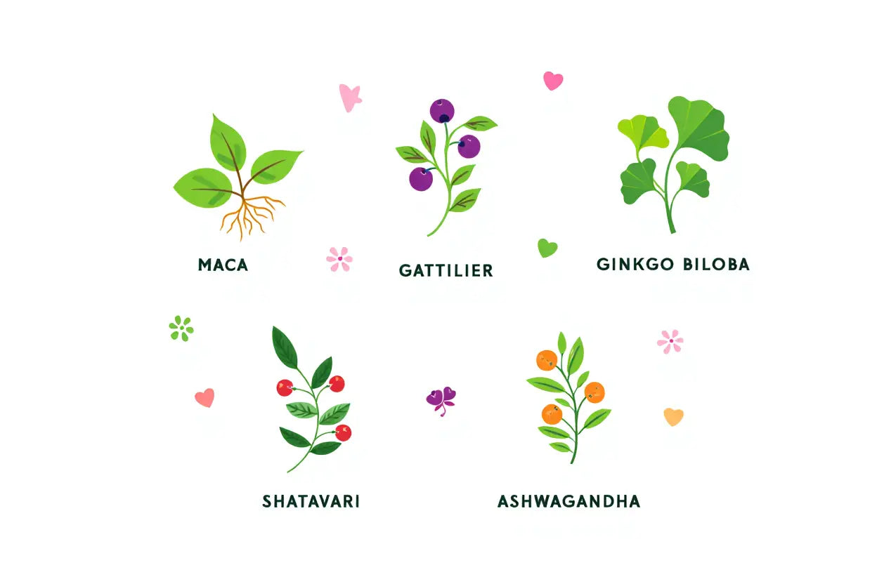 Comment augmenter sa libido naturellement avec des plantes