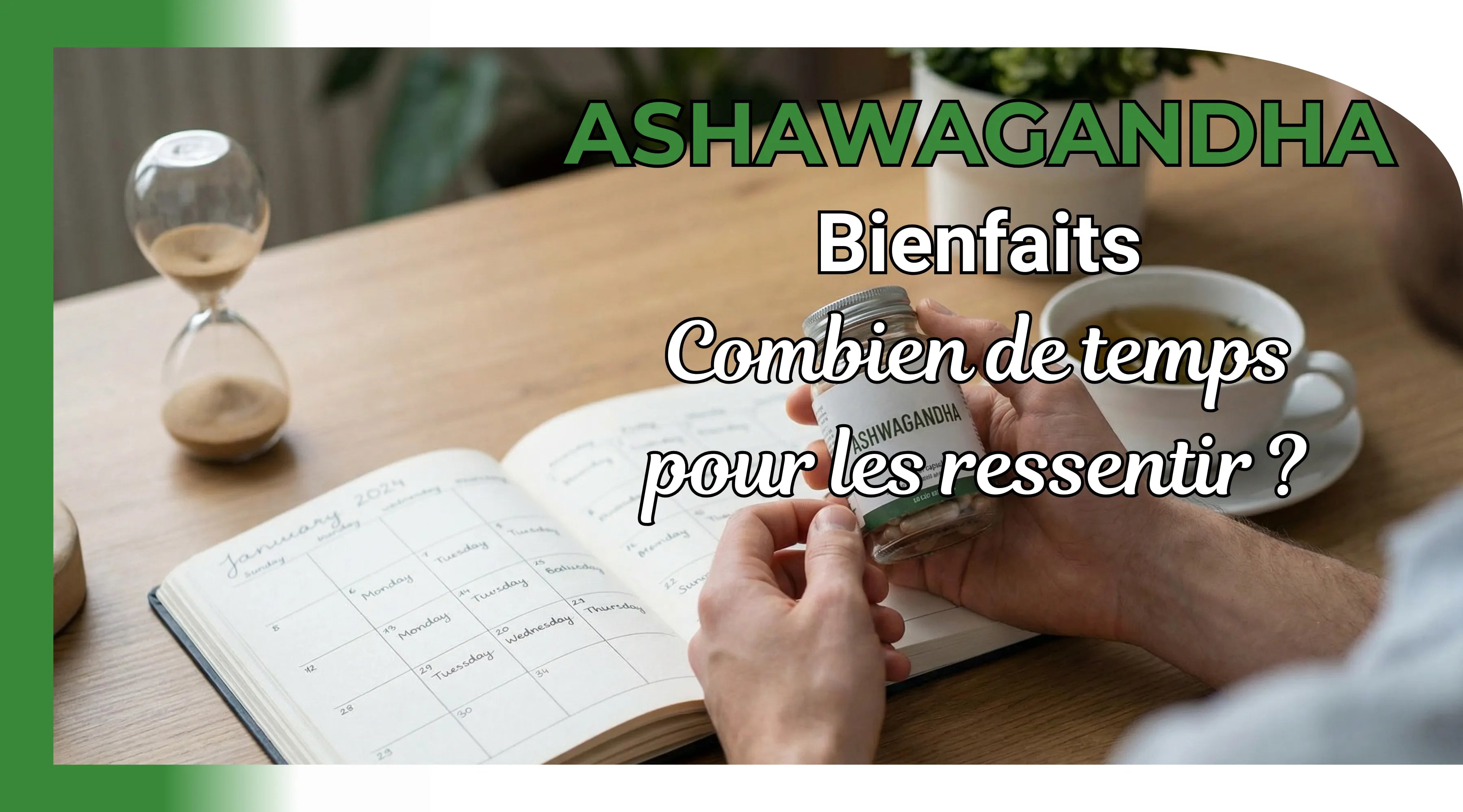 Ashwagandha : combien de temps pour agir et ressentir les effets