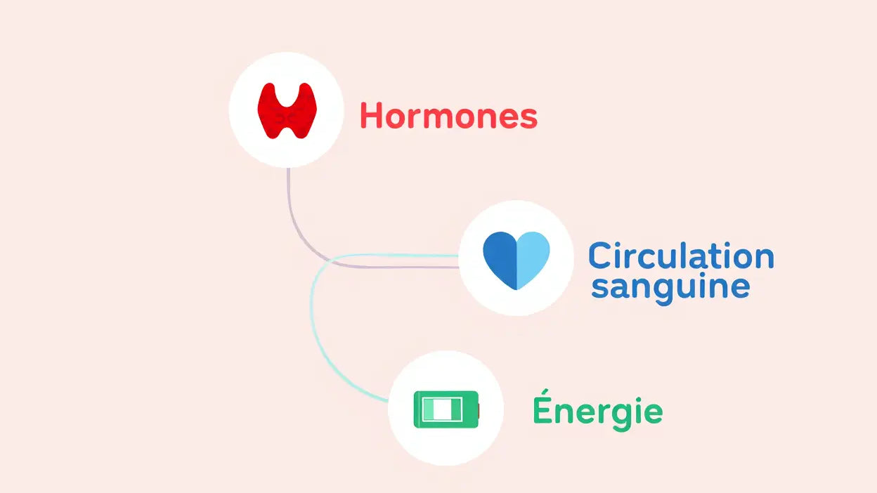 Comment augmenter la libido d'un homme : solutions naturelles