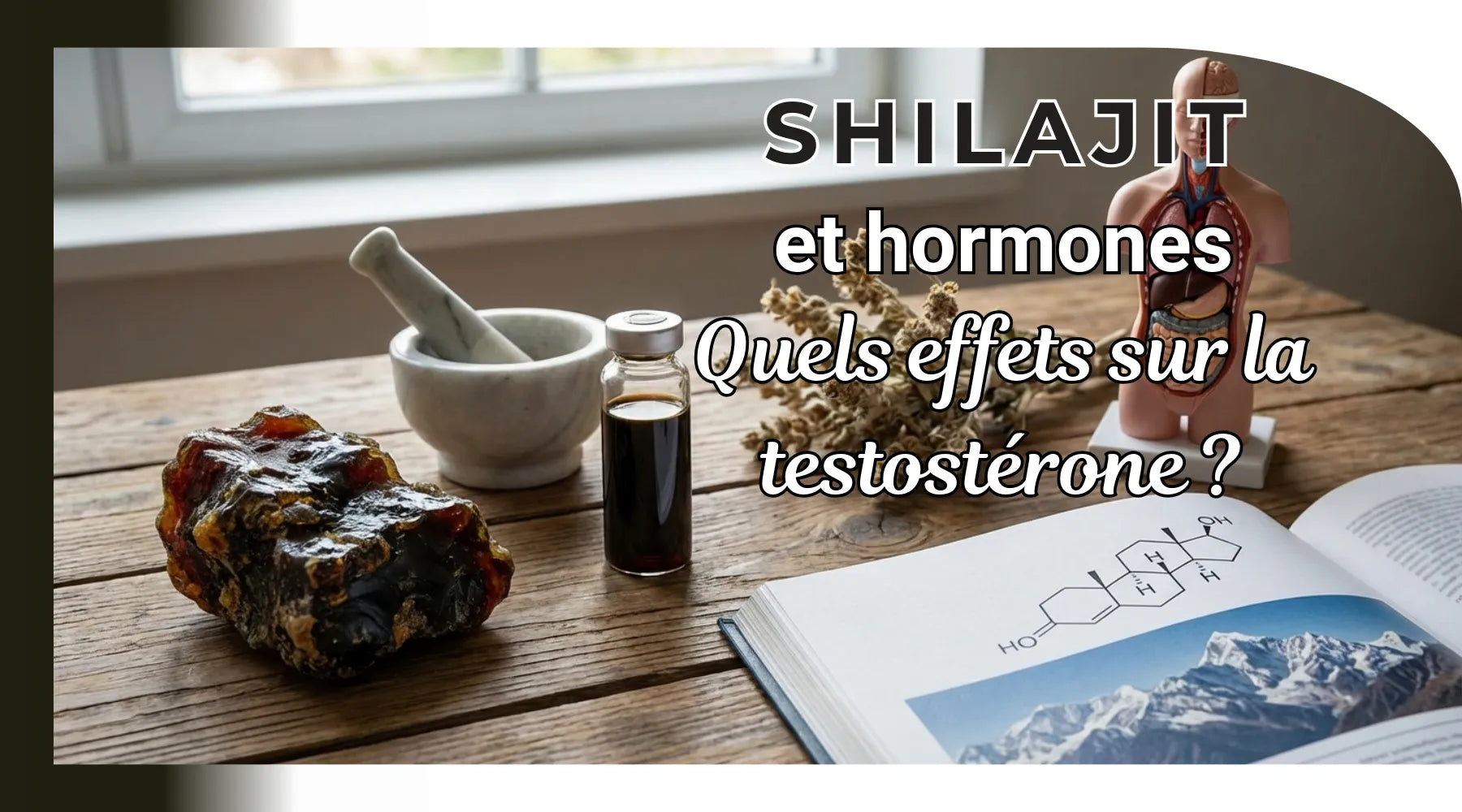Shilajit et testostérone : comment augmenter naturellement