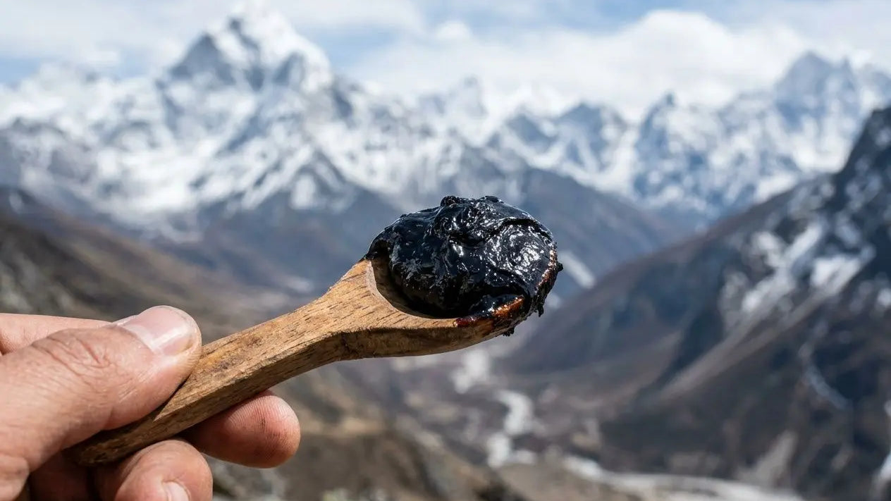 Meilleur shilajit france : comparatif résine et acides fulviques