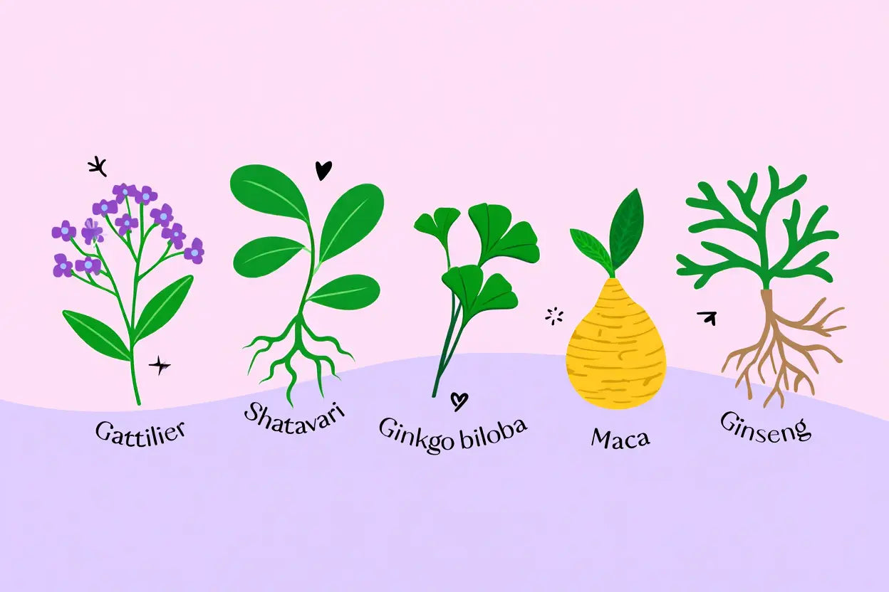 Comment augmenter sa libido naturellement et rapidement