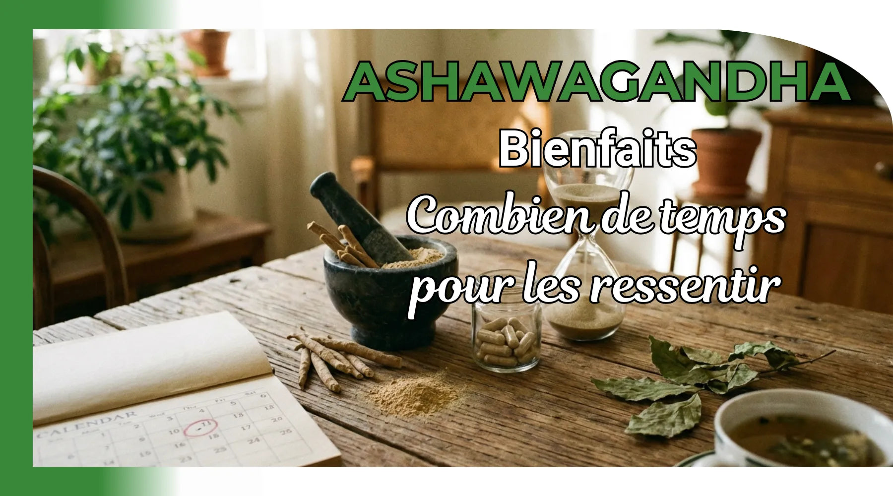Au bout de combien de temps l'ashwagandha fait effet ?
