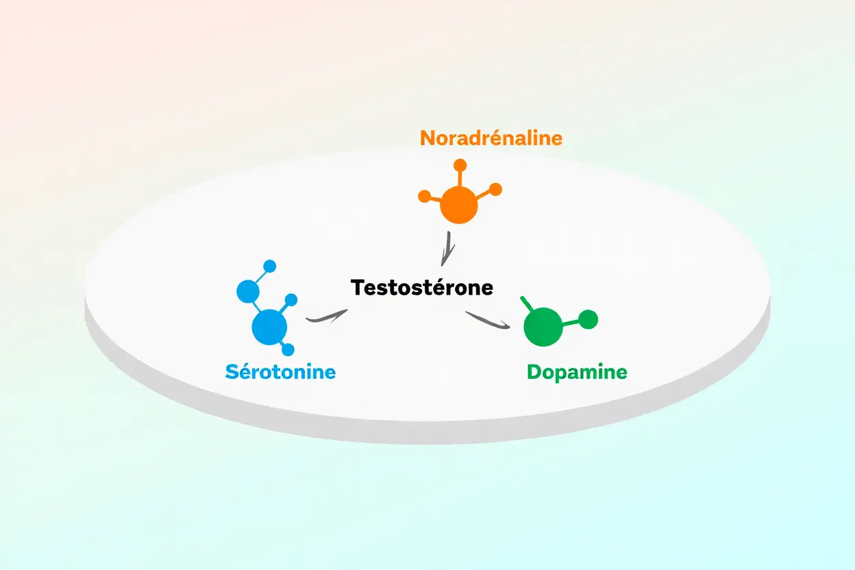 Déficit en testostérone et dépression : symptômes et solutions