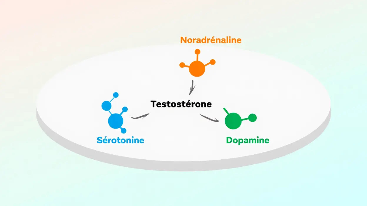 Déficit en testostérone et dépression : symptômes et solutions