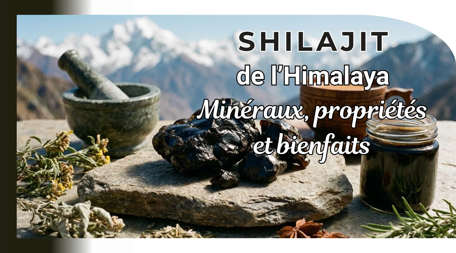 Shilajit de l'Himalaya : minéraux, propriétés et bienfaits