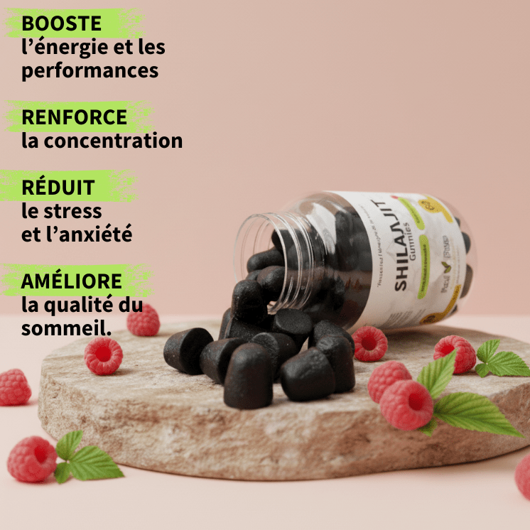 Bienfaits Gummies de Shilajit