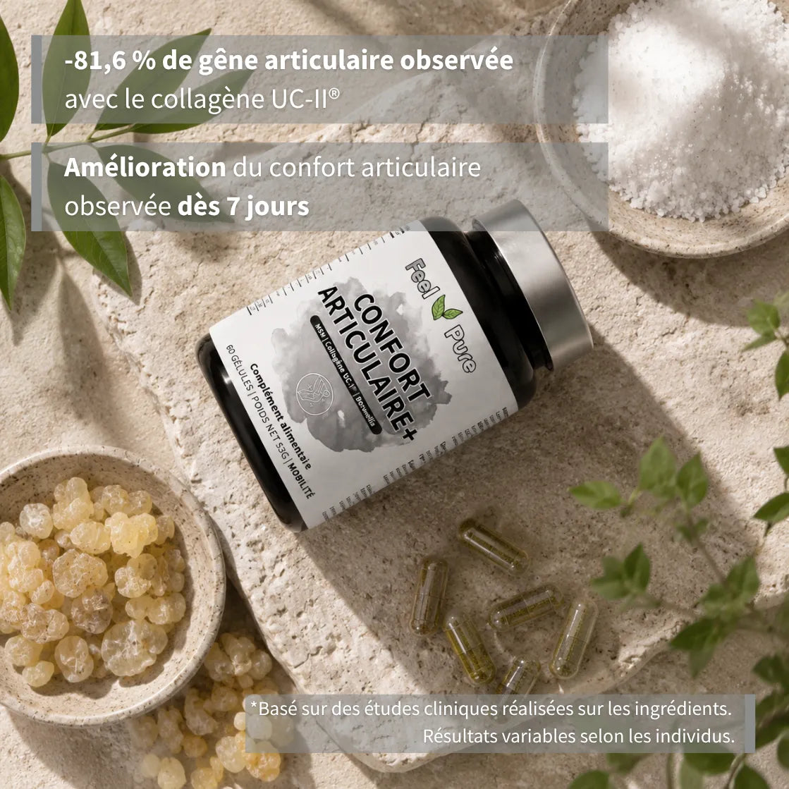 Confort Articulaire Collagene etudes