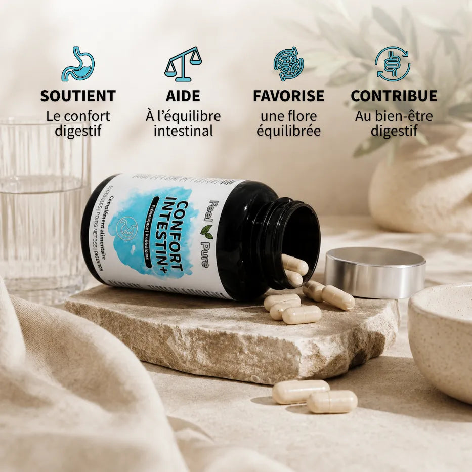 Confort Intestin Prebiotique Probiotique bienfaits