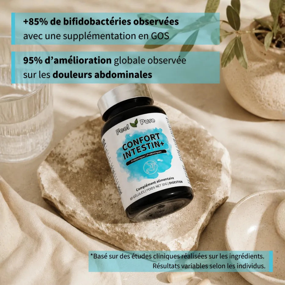 Confort Intestin Prebiotique Probiotique etudes