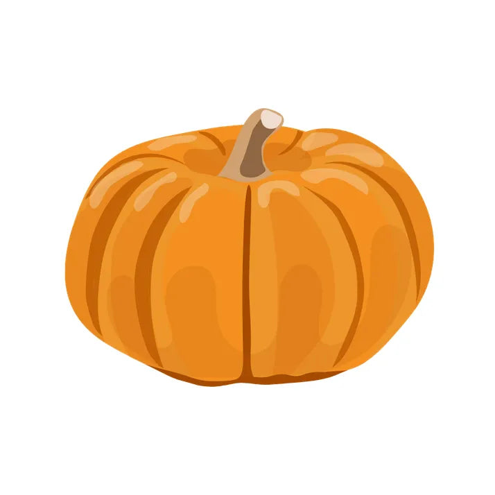 Courge
