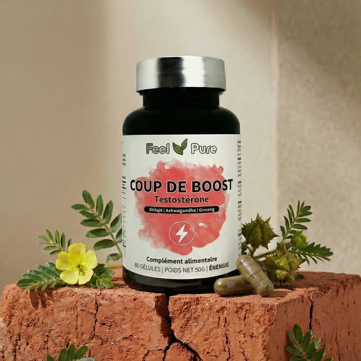 Gelules Coup de Boost