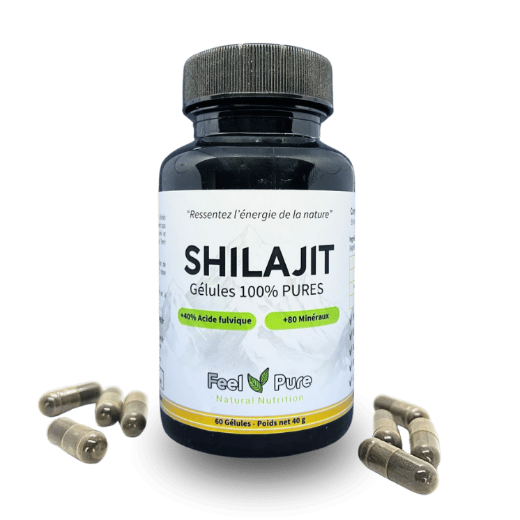 Gélules de Shilajit 100% pures – Complément naturel riche en acide fulvique et minéraux pour l’énergie et la vitalité.