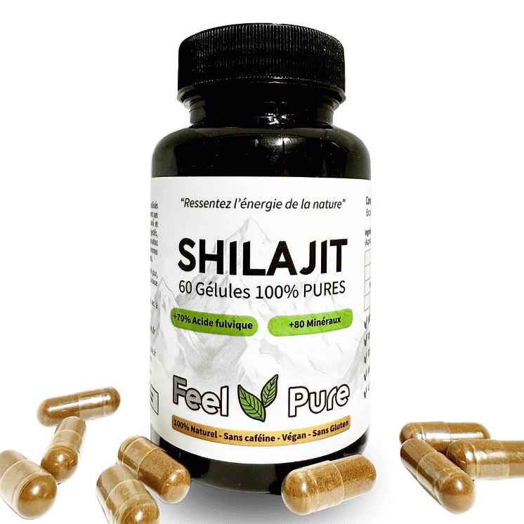 MAISON JAVER Gélules de Shilajit
