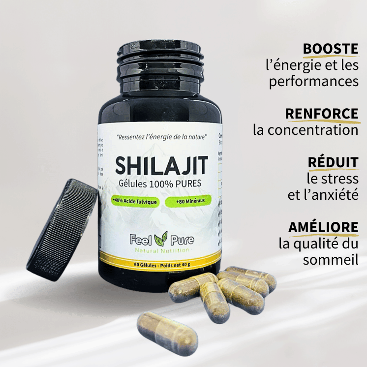 Gélules de Shilajit 100% pures – Complément naturel riche en acide fulvique et minéraux pour l’énergie et la vitalité.