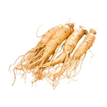 Ginseng