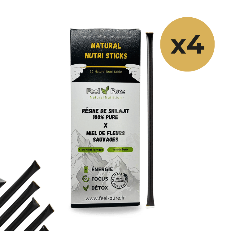 Sticks de miel et Shilajit – Complément alimentaire savoureux pour renforcer l’endurance et la concentration.