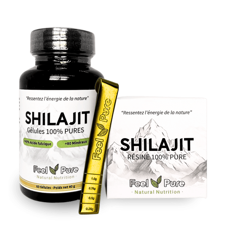 Complément Alimentaire Shilajit 100% Pur + 16 Herbes Puissantes - 60 Capsules Sudhkarma