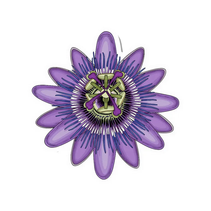 Passiflore