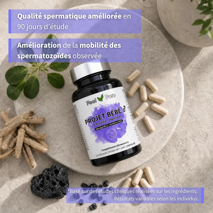 Projet Bebe Homme Fertilite etudes